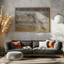 Canvas Art Print Short eared owl