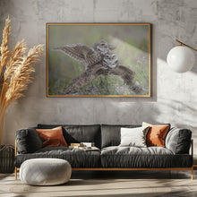 Canvas Art Print Burrowing Owl Love