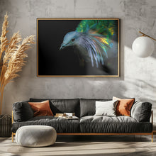 Canvas Art Print Curiosity