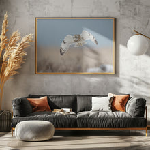 Canvas Art Print Short-eared Owl