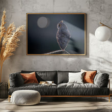 Canvas Art Print Night Watcher