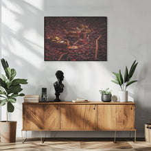 Art Prints of The Buddha domain