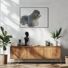 Art Prints of Squirrel