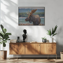 Art Prints of Moose