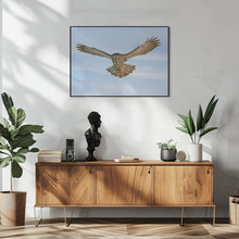 Art Prints of Landing