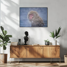 Art Prints of Snow Monkey