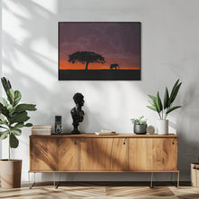 Art Prints of Elephant at sunset