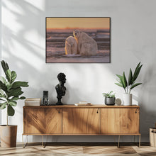 Art Prints of Polar bears at sunset