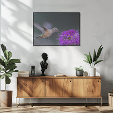 Art Prints of rufous hummingbird