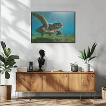 Art Prints of Green turtle