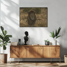 Art Prints of olope male lion