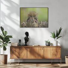 Art Prints of Baby Tarsier