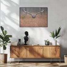 Art Prints of Great grey owl