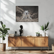 Art Prints of Prairie Dog