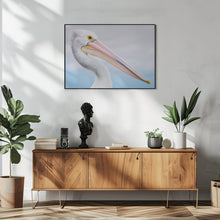 Art Prints of pelican