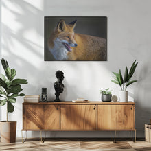 Art Prints of fox