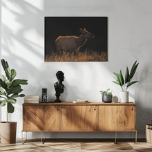 Art Prints of A Cow at Sunset