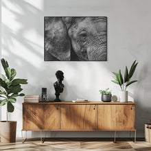 Art Prints of Elephant skin