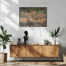 Art Prints of Cute Lion Cubs