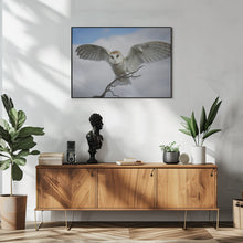 Art Prints of Snowy Owl