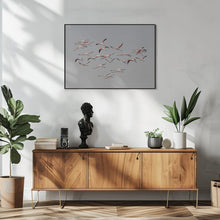 Art Prints of Greater Flamingos in flight