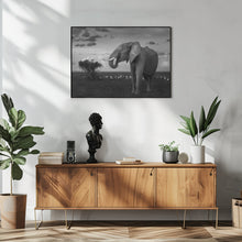 Art Prints of Beautiful Elephant