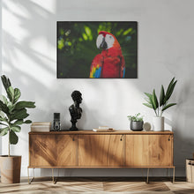 Art Prints of Colorful Parrot