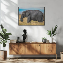 Art Prints of Elephant