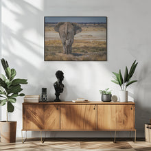 Art Prints of BabyElephant