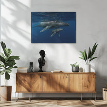 Art Prints of Humpback whales