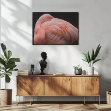 Canvas Art Print A big bundle of feathers