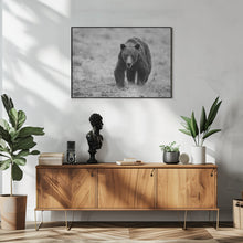 Canvas Art Print The Bear is here