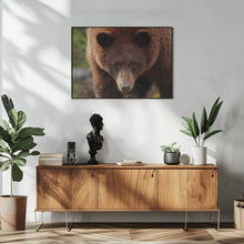 Canvas Art Print Cinnamon Bear