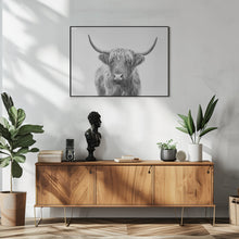 Canvas Art Print Highland Bull