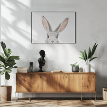 Canvas Art Print Peeking Bunny