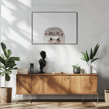 Canvas Art Print Peeking Hedgehog