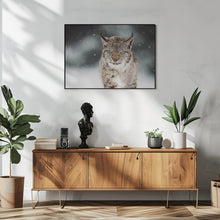 Canvas Art Print The Eurasian lynx (Lynx lynx)