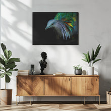 Canvas Art Print Curiosity