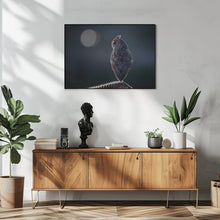 Canvas Art Print Night Watcher