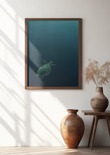 Art Prints of The fly of the Hawksbill