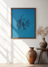 Art Prints of Dolphins 6