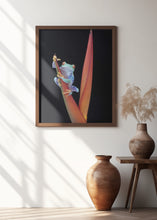 Art Prints of Red Eyed Tree Frog on a Tropical Flower