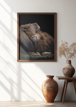 Art Prints of Two lions