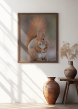 Art Prints of Squirrel