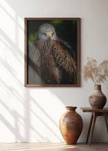 Art Prints of Watchful