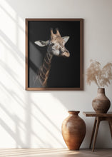 Art Prints of Giraffe in low key