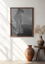 Art Prints of Cheetah on the Watch