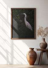 Art Prints of Little egret