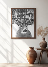 Art Prints of Winter Deer