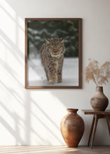 Art Prints of Meet the lynx